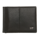 Braun Buffel,  , 58106-661-010